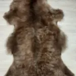 Dekorations Fell vom Merino Schwarzkopf Mix sehr weich und intensive natur Farbe