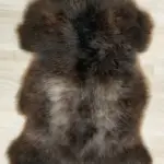 Dekorations Fell vom Bergschaf Lamm sehr geschmeidig und silberrücken