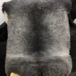 Dekorations und Sitz Fell vom Merino Mix Schaf schwarz grau meliert dichter feiner Wolle einzigartig