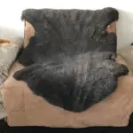 Dekorations und Sitz Fell vom Merino Mix Schaf schwarz mit grauem Akzent robust einzigartig