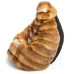 Sitzsack aus Rotfuchsfell - Big Bertha