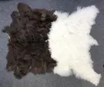 Dekorations Ziegenfell Walliser Schwarzhals klein und fein