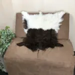 Dekorations Ziegenfell Walliser Schwarzhals fein