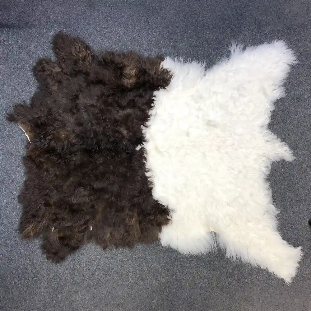 Walliser Ziegenfell Schwarzhals braun und weiss