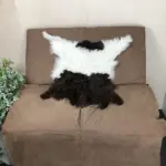 besonderes Schwarzhals Ziegenfell