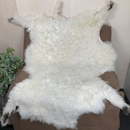 Valais Blacknose Sheepskin, Large