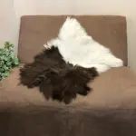 Einzigartiges Schwarzhals Ziegenfell