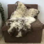 Besonderes Merino Schaffell mit Punkten – Bild 2