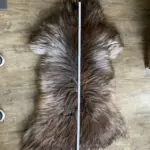 Schnucke_braungrau